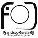 LogoFGG512px